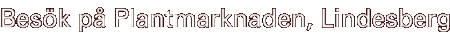 Bes�k p� Plantmarknaden, Lindesberg
