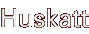 Huskatt