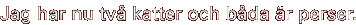 Jag har nu tv� katter och b�da �r perser.